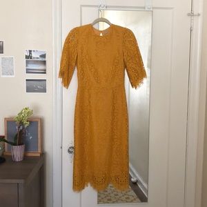 New with tags, H&M, yellow lace dress, open back